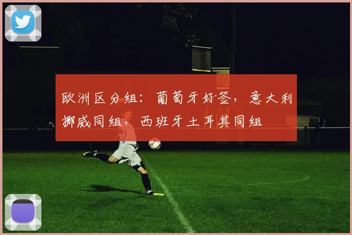 欧洲区分组：葡萄牙好签，意大利挪威同组，西班牙土耳其同组