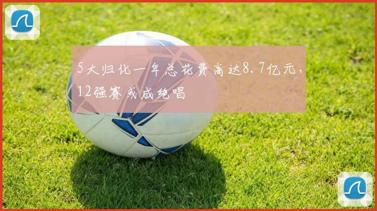 5大归化一年总花费高达8.7亿元，12强赛或成绝唱